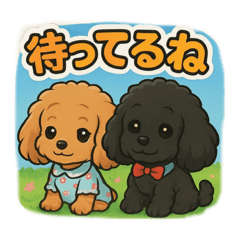 otocute34_20260404162949