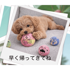 deguko_20260404160348