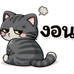 Salid Cat Daily Mood