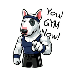 Bull Terrier Gym Bro