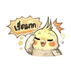 Mischievous Cockatiel