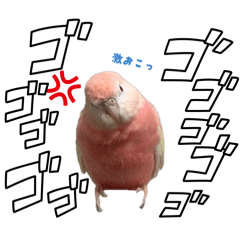 momochi_20260404164521