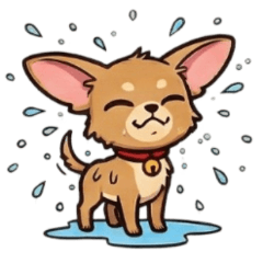 Coco (The Chaotic Chihuahua)