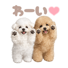 DOG STAMP ORDER_20260404173339