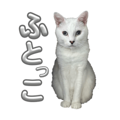 Yuppi_20260404185117