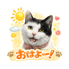 office_nyankichi_20260404185020