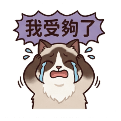 ★大貼圖★ 布偶貓我真的受夠了