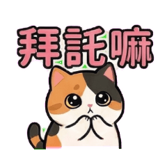 花色貓水汪汪眼睛日常