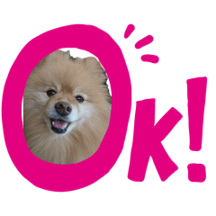 mmsakid_20260404181524