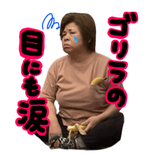 mijinko_20260404181925