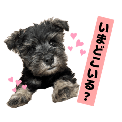 mikoruna_20260404182244