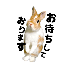 naomi_20260404193704