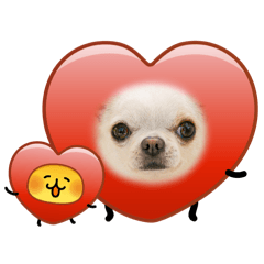 Pomie_20260404194143