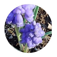 tokuyama_20260404193659