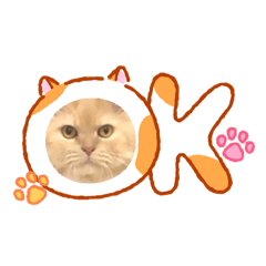 咪咪最可愛了:D