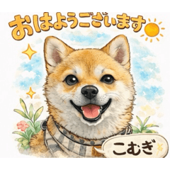 Komugi_20260404171740