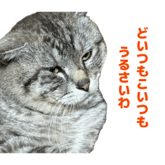 noooon_20260404172026