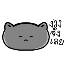 Solly_20260404163618