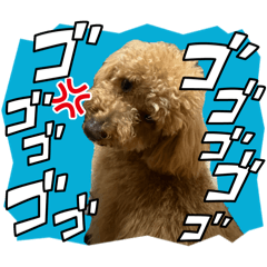 honostickrevolution_20260404190229