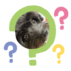 rabbimon_20260404191231