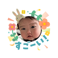 sinq_20260404191326
