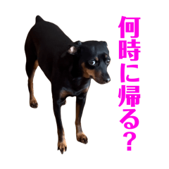 u-chan_20260404191608