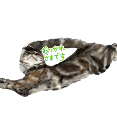 nonchan_20260404202306