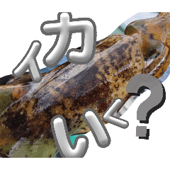 Ponta_20260404202524