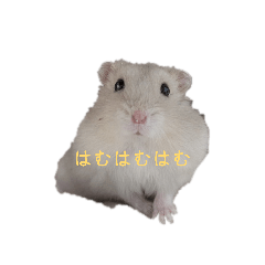 tetsuo_20260404203105