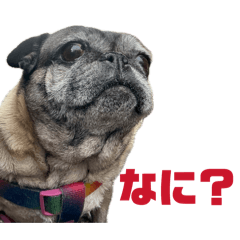 tamura_20260404203237