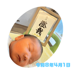 fis_20260404195525