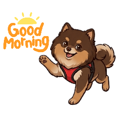 Cruise the Cheeky Pomeranian