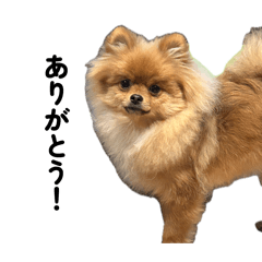 yotuba_20260404174649