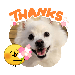 たろうちゃんち