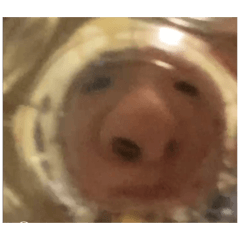 kaede_20260404200312