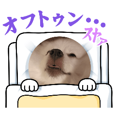 suzuki taro_20260404204559