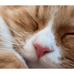 mitan._20260404203640