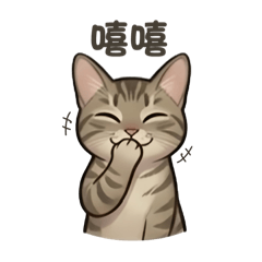 小虎斑的可愛日常2