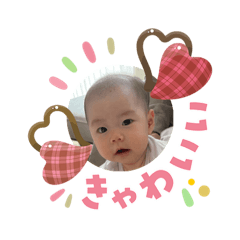 sayaccmr_20260404183923