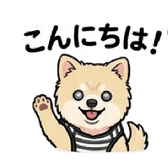 soramame_20260404183356