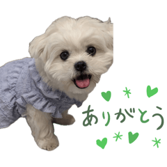 Ryuji_20260404210355