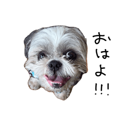 Chinatsu_20260404221238