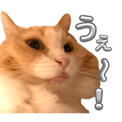 chappy ONE_20260404221702