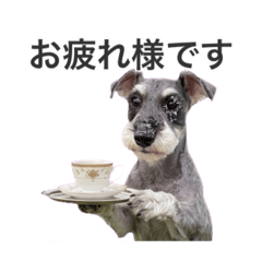 mofumofu_20260404221619