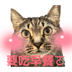 啊漸小冰的一天