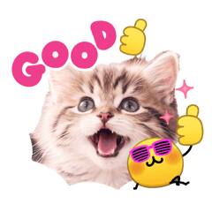 SouTanabe_20260404224559