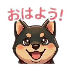 PANCHI_20260404224226