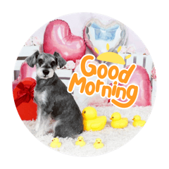 momomaro_20260404224712