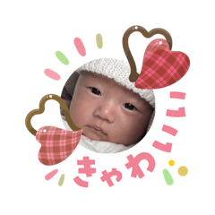 satton_20260404193021