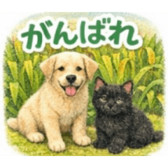 Kittens and Puppies in nature